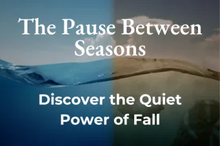 The Pause Between Seasons