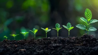 What are the biggest challenges currently hindering my growth? (Identifying internal and external roadblocks)