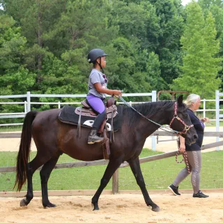 Horse camp vs summer camp horse riding activity 