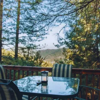 Dreamy Treehouse A-Frame Adventure Awaits at Shasta