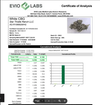 FAQ image