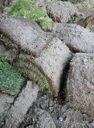The Ultimate Guide to Laying Sod: 5 Essential Tips You Should Know