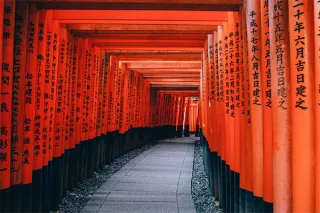 How to start your Ikigai journey