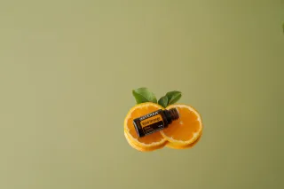 From Wild Orange to World Stages: My 10-Year Detour That Led Me Here