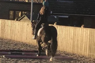 New Riders