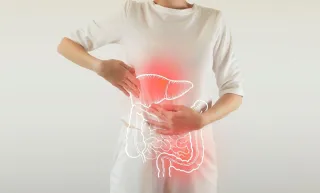 Food, Mood and Attitude: Gut health unflitered.