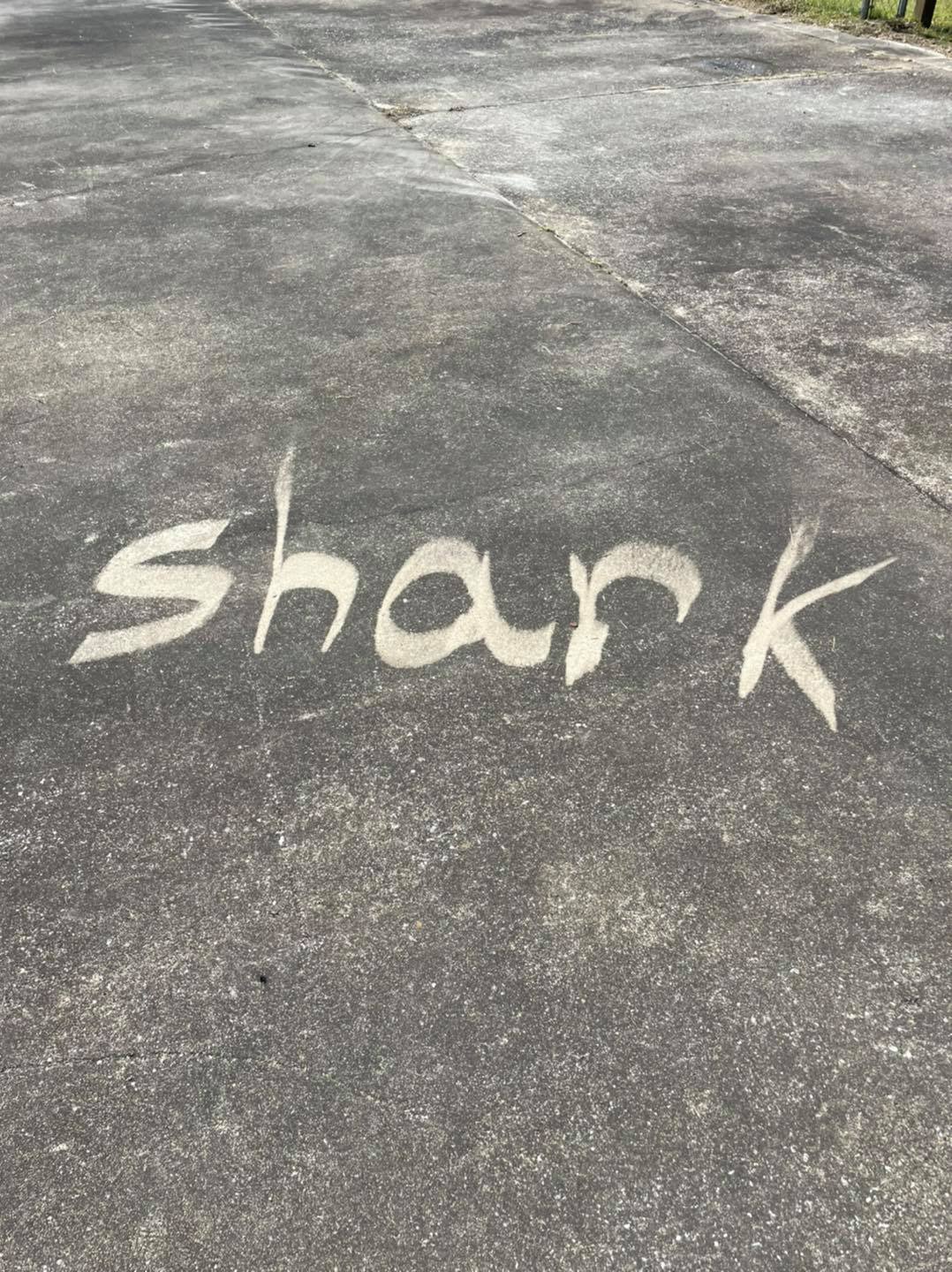 Restoring Curb Appeal in Wilmington, NC