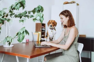 What to Expect From Passive Income 
