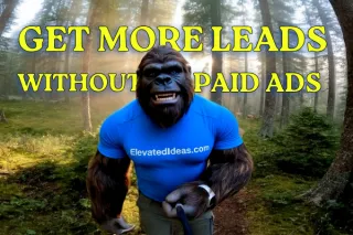 Learn How To Rank Higher On Google With Big Foot