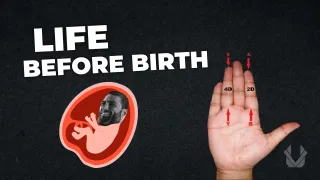 Life Before Birth: Prenatal Exposure's Impact on Future Outcomes