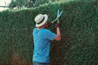 9 Essential Tricks to Keep Summer Pests Away Before They Ruin the Season