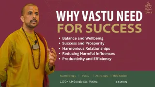 Top Vastu Consultants in India | Expert Tips for Home & Career