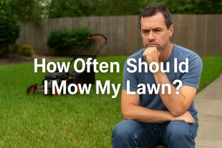 How Often Should I Mow My Lawn? What a Landscape Design Pro Wants You to Know