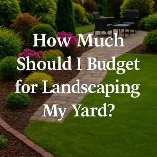How Much Should I Budget for Landscaping My Yard?