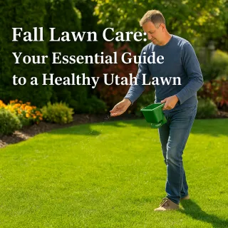 Fall Lawn Care: Your Essential Guide to a Healthy Utah Lawn
