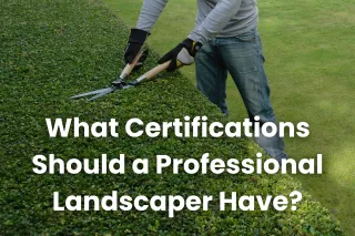 What Certifications Should a Professional Landscaper Have?