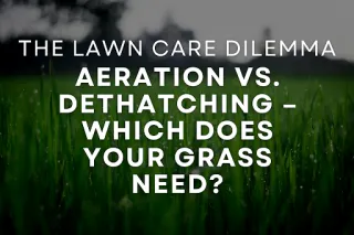 Aeration vs Dethatching: What’s the Difference? | C & K Landscaping