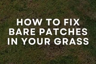 How to Fix Bare Patches in Your Grass | Lawn Repair Guide