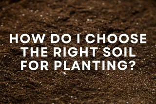 How Do I Choose the Right Soil for Planting? The C&K Landscaping Guide