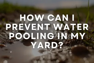 How Can I Prevent Water Pooling in My Yard?