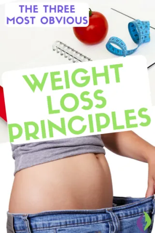 The Three Most Obvious Weight Loss Principles