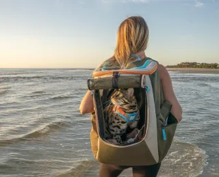 Cat Backpack: Your Ultimate Guide to Pet Travel