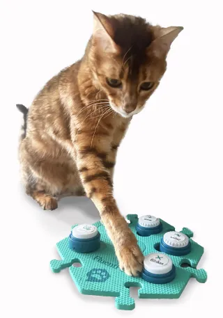 Tips for Teaching Speech Buttons in a Multipet Household
