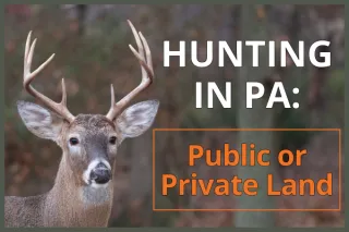 Hunting in Pennsylvania: Public or Private Land