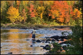 Fall Fishing in Pennsylvania: Tips, Tackle, and Techniques