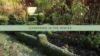 February in the Garden