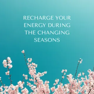 How to Recharge Your Energy With the Changing Seasons