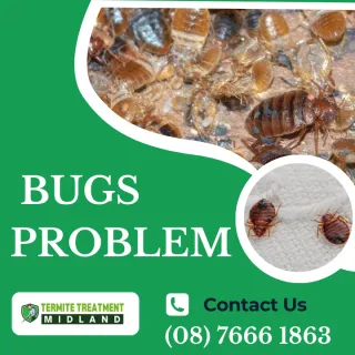 How To Get Rid Of Flying Bugs (Bees, Wasps, Flies) In Your House?