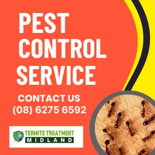 Commercial Pest Control in Perth