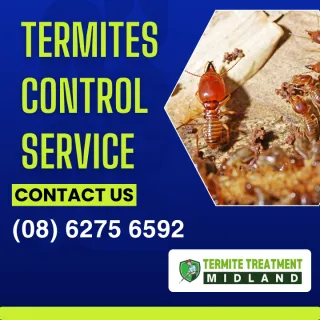 Safe Pest Control in Midland Area