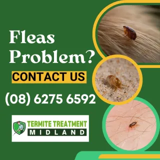 FLEA AND TICKS INFORMATION FOR PET OWNERS