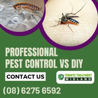 WHY IS PROFESSIONAL PEST CONTROL A BETTER OPTION THAN DIY