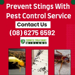 How You Can Prevent Stings This Spring