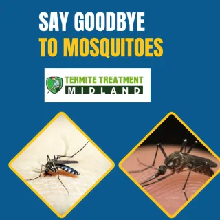 THE BEST EXTERMINATOR FOR YOUR MOSQUITO PROBLEM