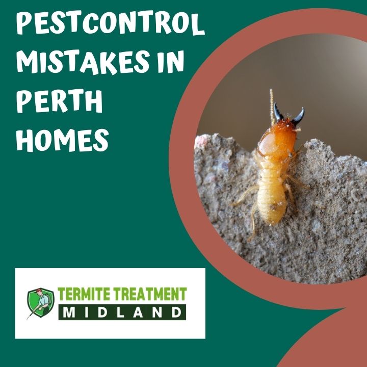 3 Common Pest Control Mistakes Perth Homeowners Make