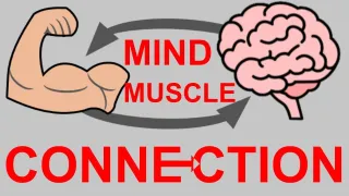 Ultimate Guide To Whole Body Mind-Muscle Connection