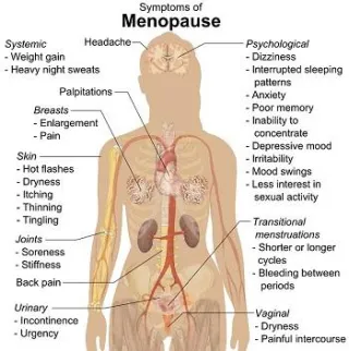 Pre/Post-Menopausal Training