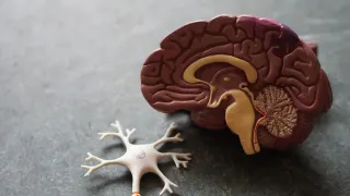 How I got Brain Healthy