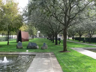 🎨 Nasher Sculpture Center: Where Art and Outdoor Beauty Collide