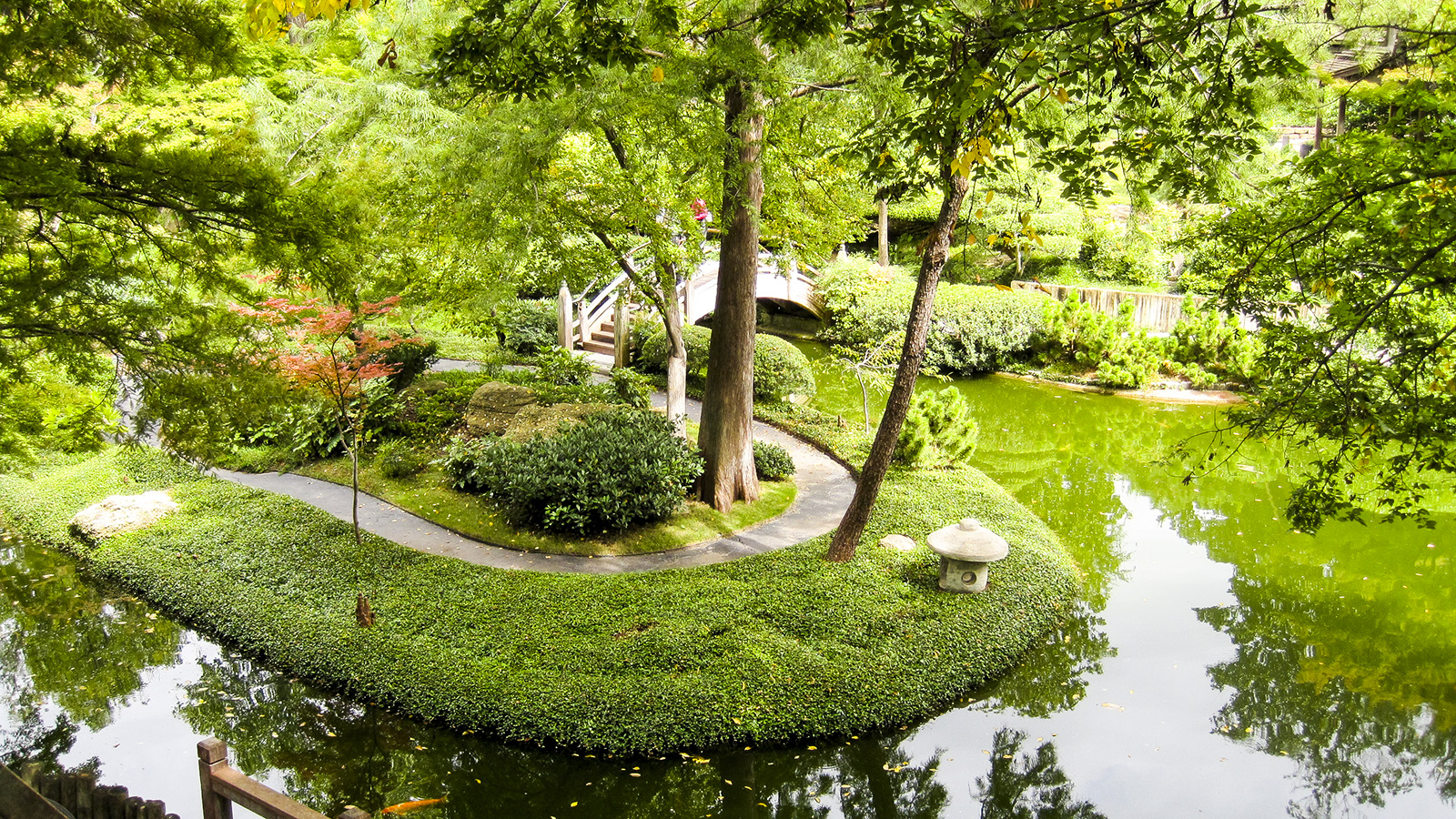 🌸 Serenity in the City — Discover the Magic of Fort Worth Botanic Garden’s Japanese Garden!