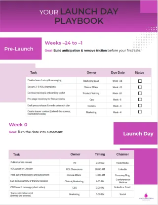 Launch Day Playbook