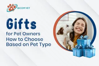 Top 10 Expert-Recommended Gifts for Pet Owners to Strengthen the Bond