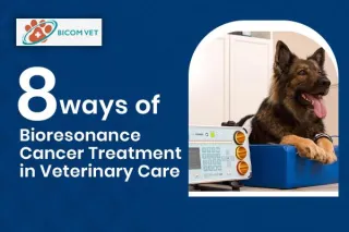 Bioresonance in Veterinary Cancer Care: A Holistic Approach