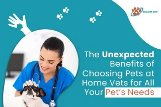 The Unexpected Benefits of Choosing Pets at Home Vets