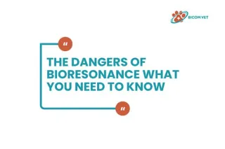 The Dangers of Bioresonance: Risks You Shouldn’t Ignore