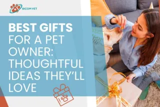 Best Gifts for a Pet Owner – Unique and Thoughtful Ideas